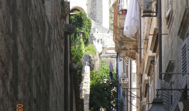 DSCN2104-1