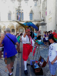 photo 1642877