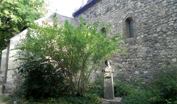 DSCN9413-1