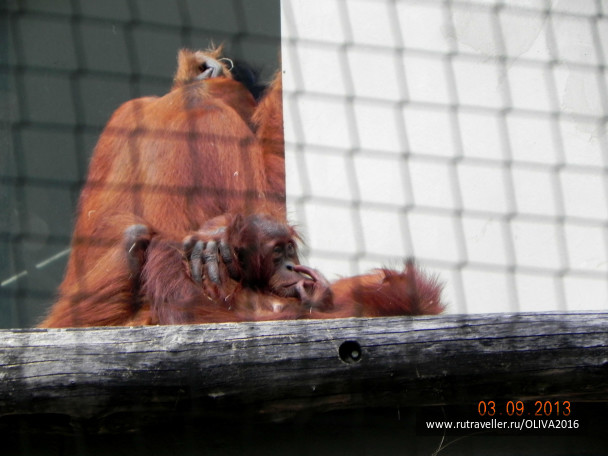 photo 1693992