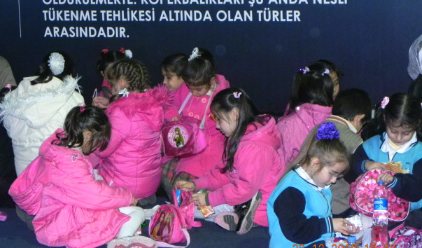 DSCN0340-1