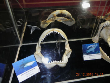 photo 1723469