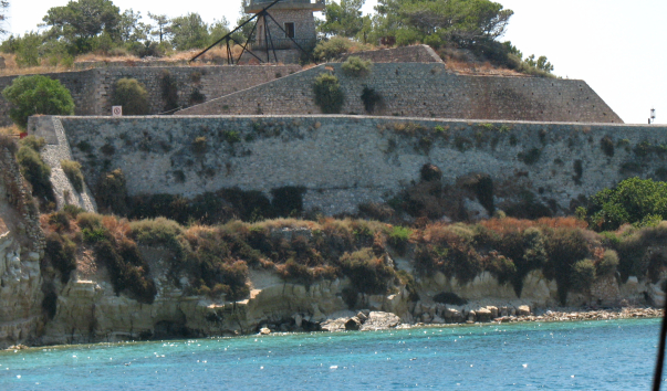 ���� 2009 264-1