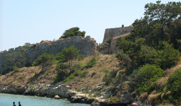 ���� 2009 266-1
