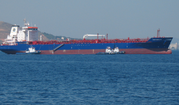 ���� 2009 263