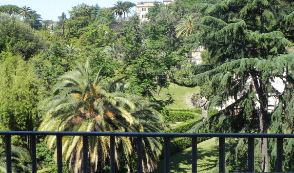 DSCN4332