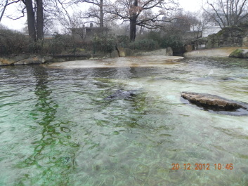 photo 1572185