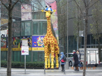 photo 1582416