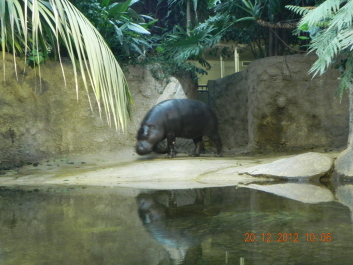 photo 1742012