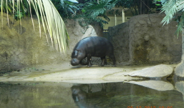 DSCN6263