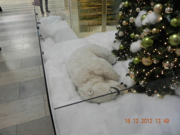 photo 1743388