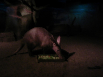 photo 1746601
