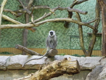 photo 1757547