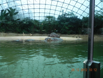 photo 1817429