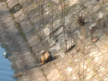 photo 1369752