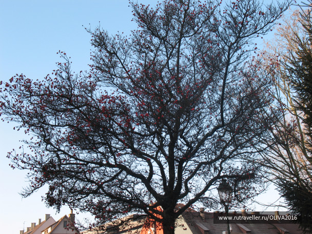 photo 1416861