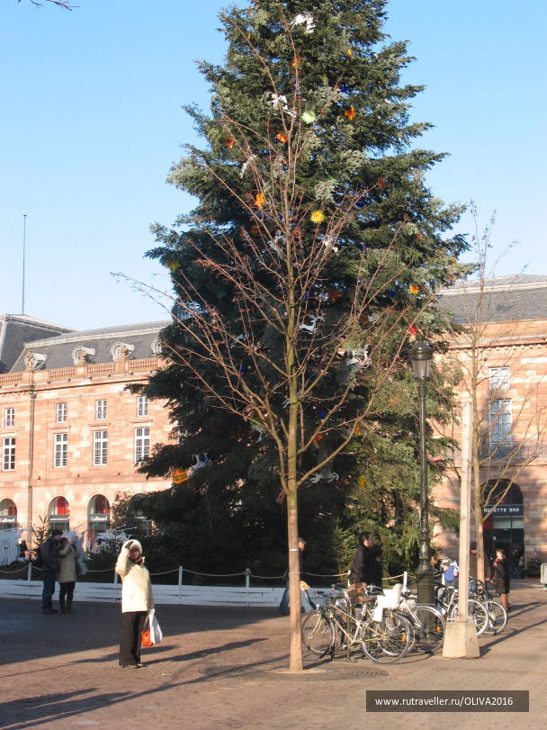 photo 1567372