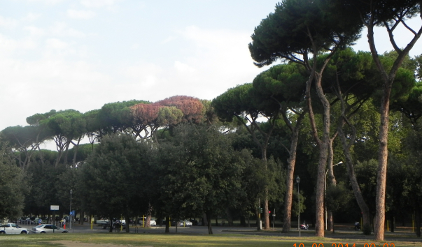 DSCN1625