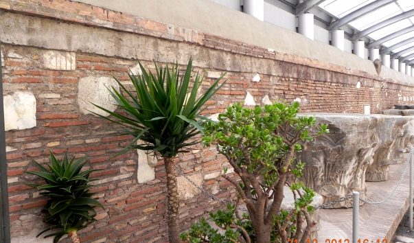 DSCN8875-1