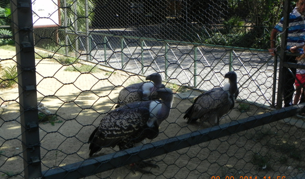 DSCN1357