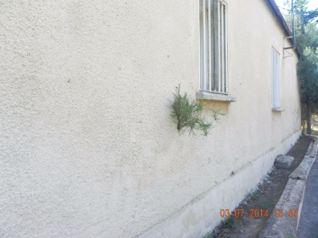 photo 1607516