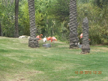 photo 1575867