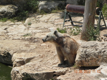 photo 1688190