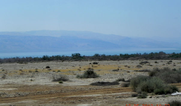 DSCN7300-1