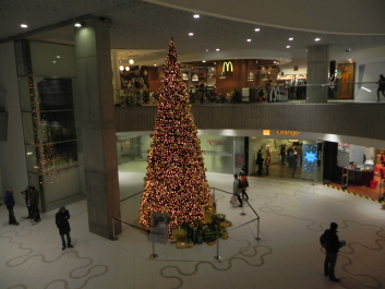 photo 1581607