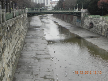 photo 1584975