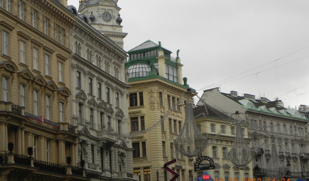 DSCN6204