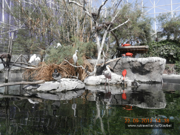 photo 222857