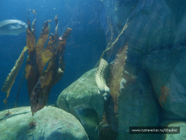 photo 222858
