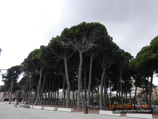 photo 222865