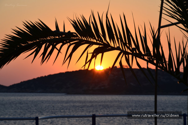 photo 468116