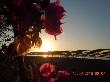 photo 1383067
