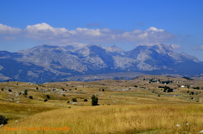 photo 1081948