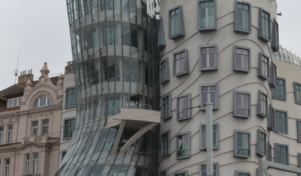 DSC_2330