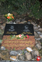 photo 324732
