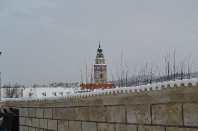 photo 317564