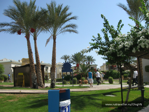 photo 328166