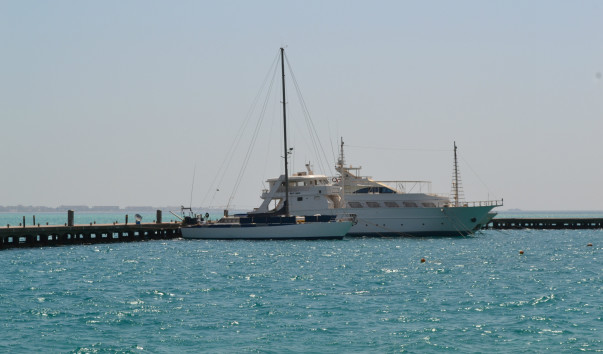 DSC_0599