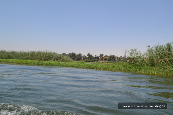 photo 1006844