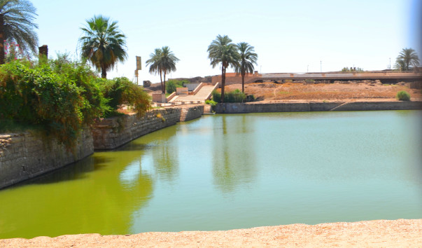 Изображение 1242