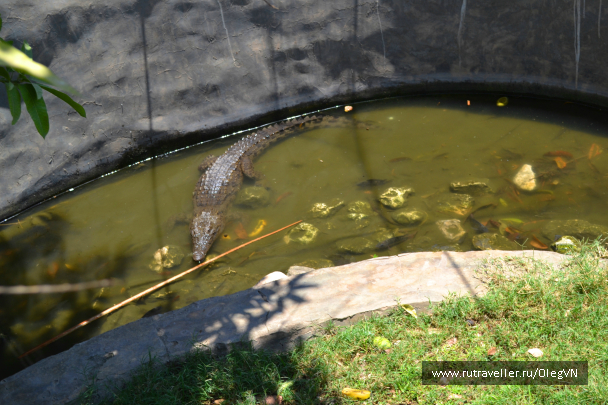 photo 1008573