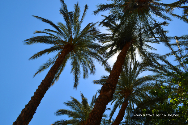 photo 1008580
