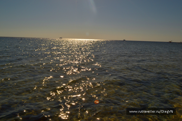 photo 1003350