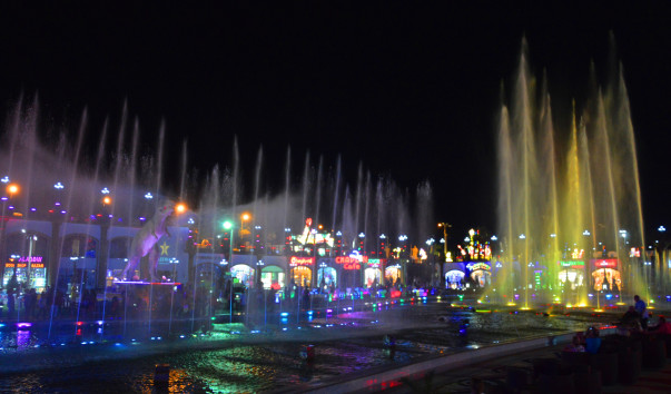 DSC_0641