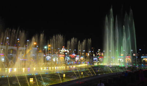 DSC_0638