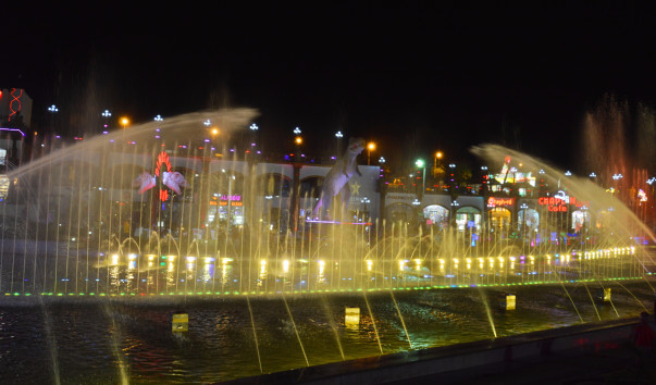 DSC_0634